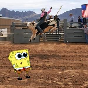 Meet your Posher, Juan